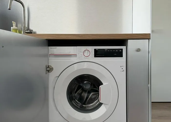 Ozas Cozy Διαμέρισμα Βίλνιους